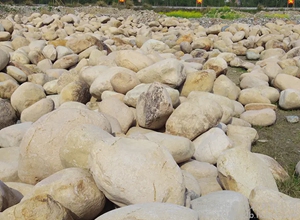 鹅卵石 园林景观石
