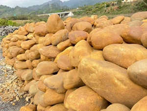 景观鹅卵石 园林景观石